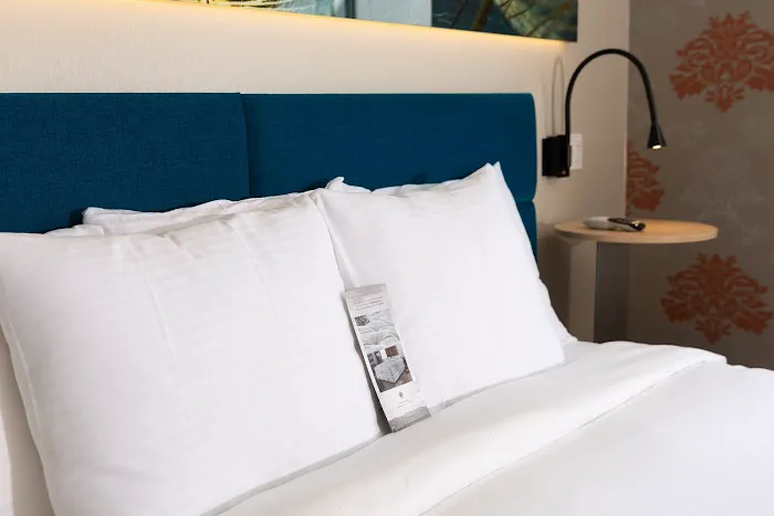 Hotel Le Jolie - A Williamsburg Brooklyn Hotel Picture 9
