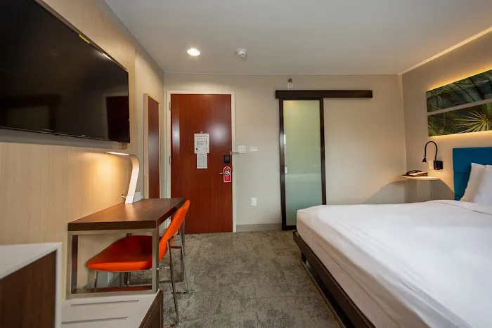 Hotel Le Jolie - A Williamsburg Brooklyn Hotel Picture 5
