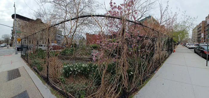 Tranquility Farm Picture 2