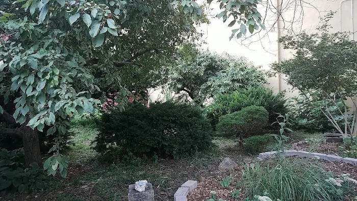 T&T Vernon Block Community Garden Picture 1