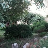 T&T Vernon Block Community Garden ico
