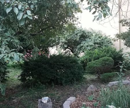 T&T Vernon Block Community Garden