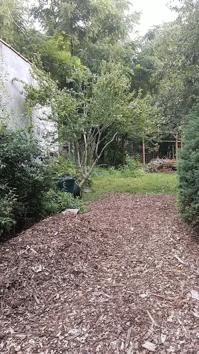 T&T Vernon Block Community Garden Picture 7