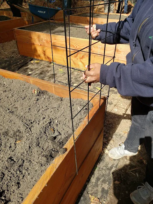 A Better Community Garden Picture 8