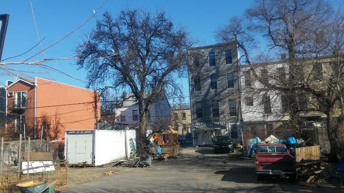 A Better Community Garden Picture 3