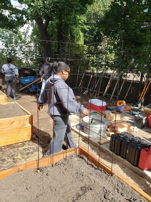 A Better Community Garden Picture 7
