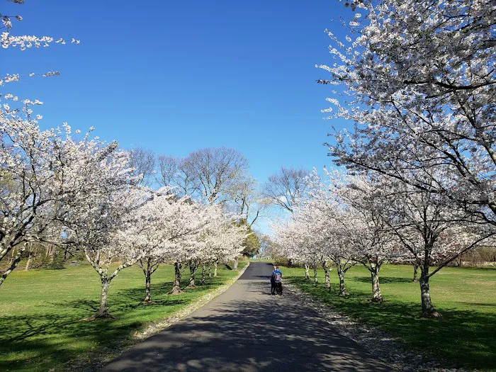 Crawford Park Picture 3