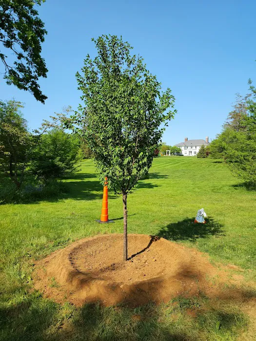 Crawford Park Picture 7