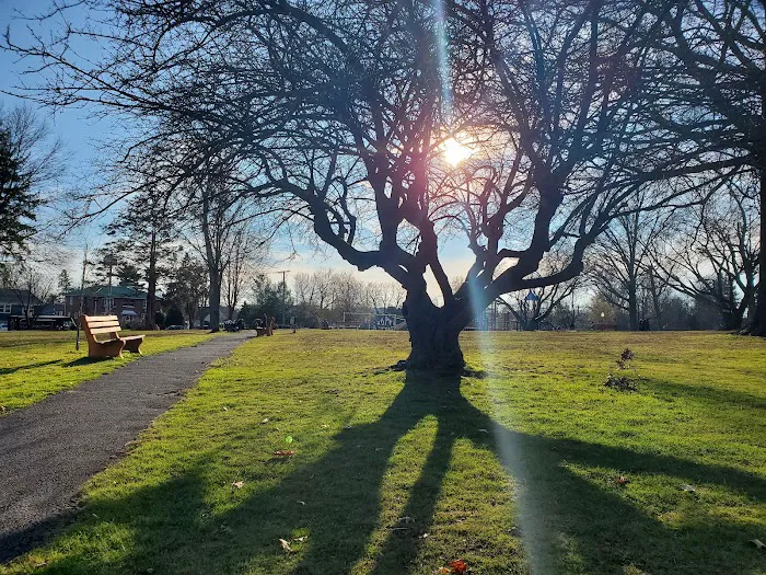 Lyon Park Picture 4