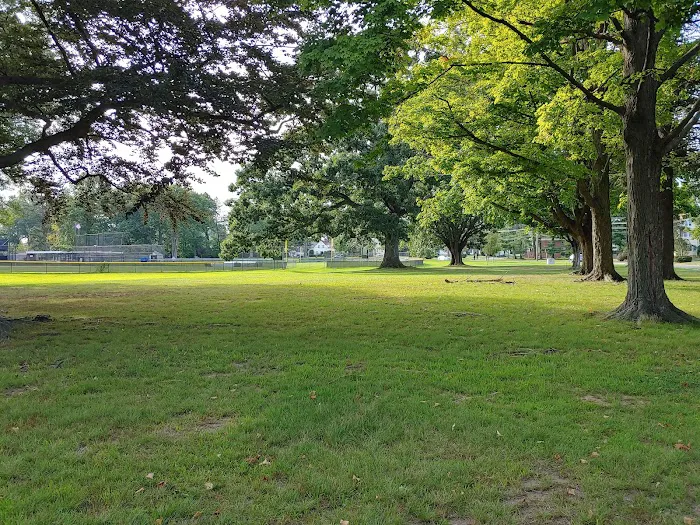 Lyon Park Picture 3