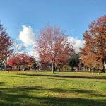 Lyon Park