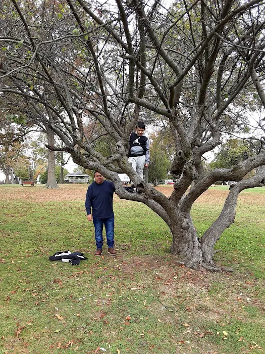 Lyon Park Picture 7