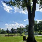 Joseph Curtis Recreation Park