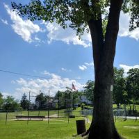 Joseph Curtis Recreation Park ico