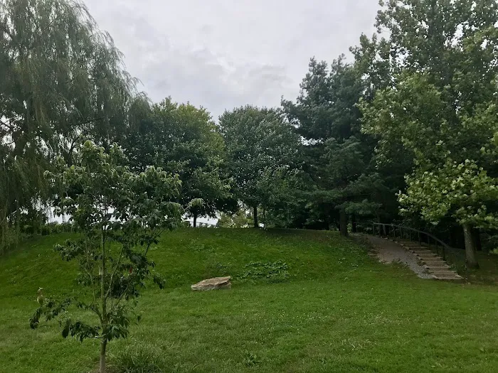 Grass Island Dog Park Picture 7