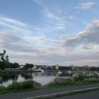 Grass Island Dog Park ico