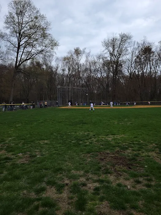 Wakelee Field Picture 1