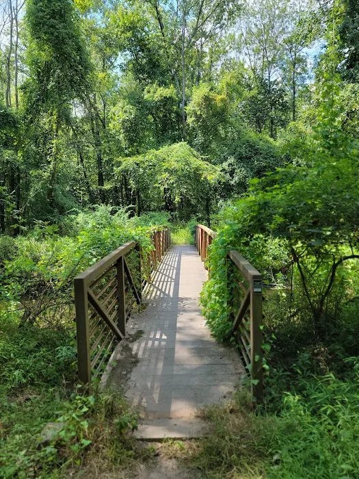 Demarest Nature Center Picture 6
