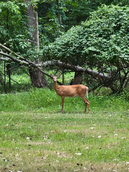 Demarest Nature Center Picture 2