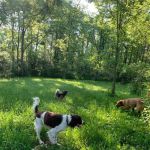 Demarest Nature Center