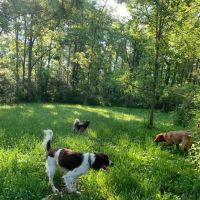 Demarest Nature Center ico