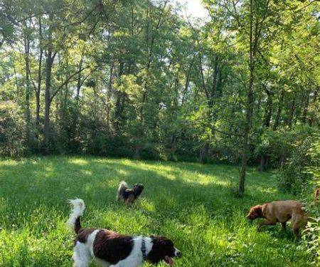 Demarest Nature Center