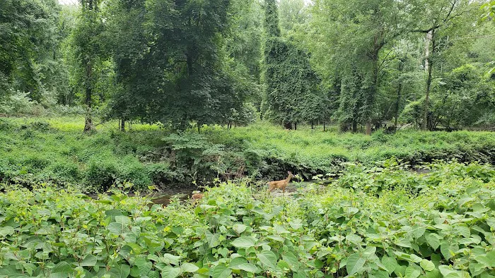 Demarest Nature Center Picture 3