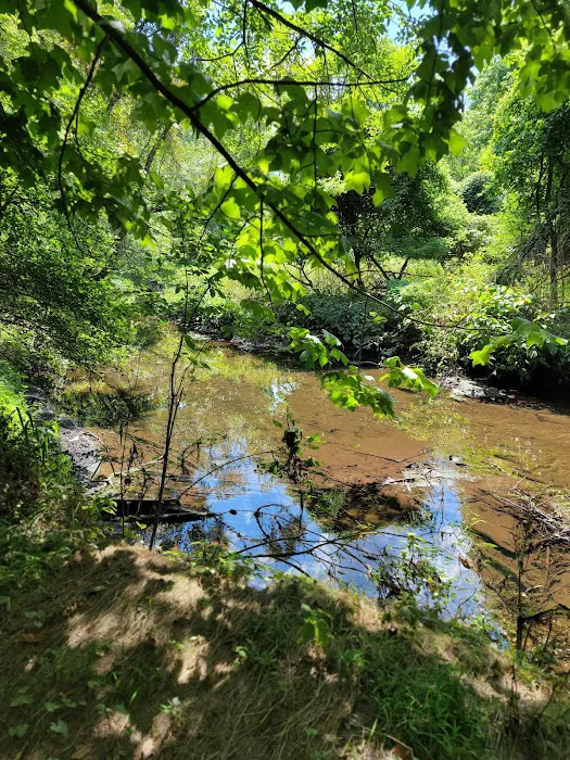 Demarest Nature Center Picture 5