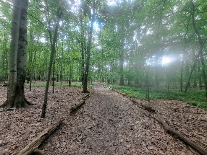 Demarest Nature Center Picture 7