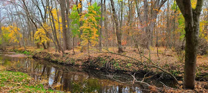 Demarest Nature Center Picture 8