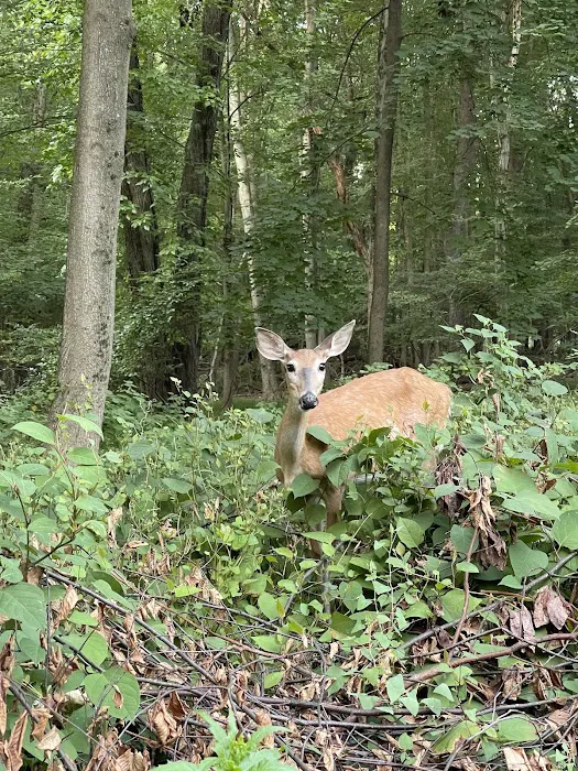 Demarest Nature Center Picture 9