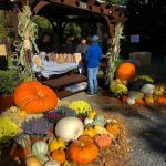 MacBain Farm Park