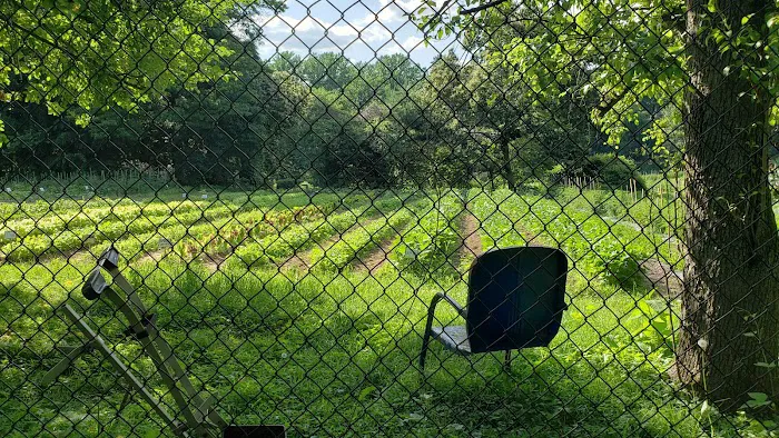 MacBain Farm Park Picture 8