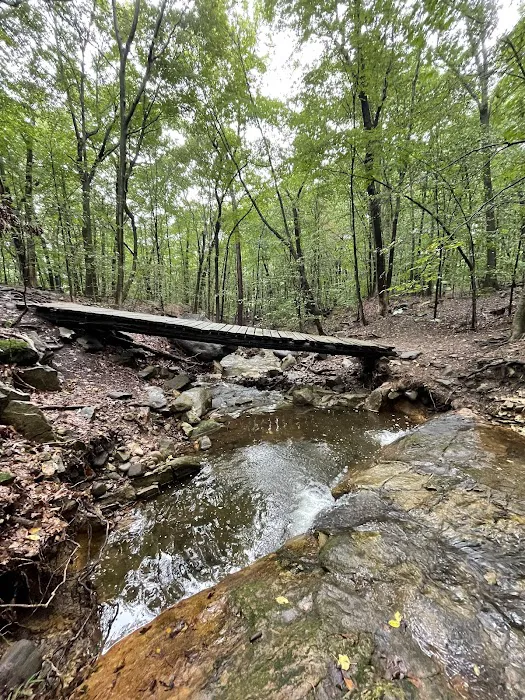 Glatt Headquarters Trail Picture 3