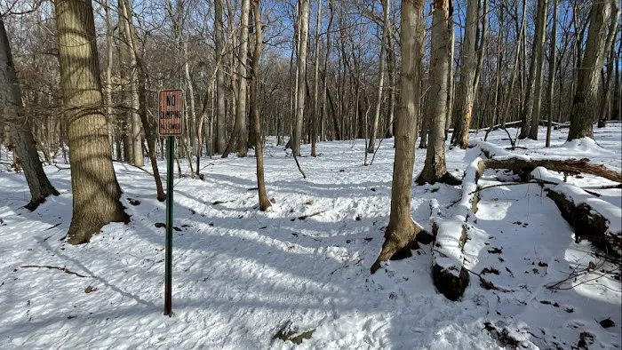 Glatt Headquarters Trail Picture 4