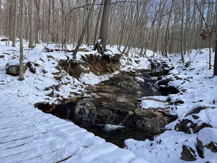 Glatt Headquarters Trail Picture 8