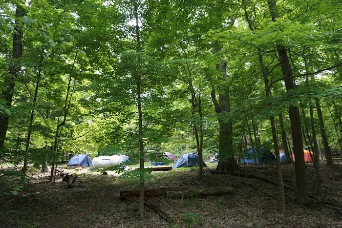 Tryon Park Picture 1