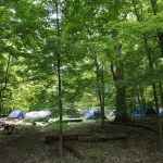 Tryon Park