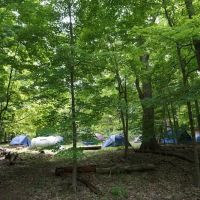 Tryon Park ico