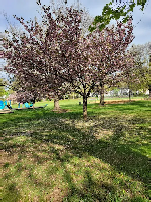 Tryon Park Picture 2