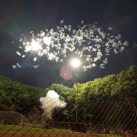 Veterans Memorial Park ico