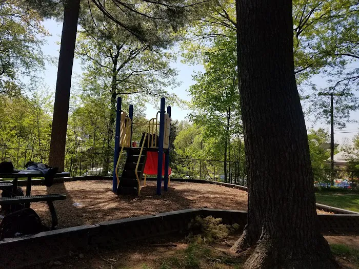 Martin Luther King Jr Children's Park Picture 6