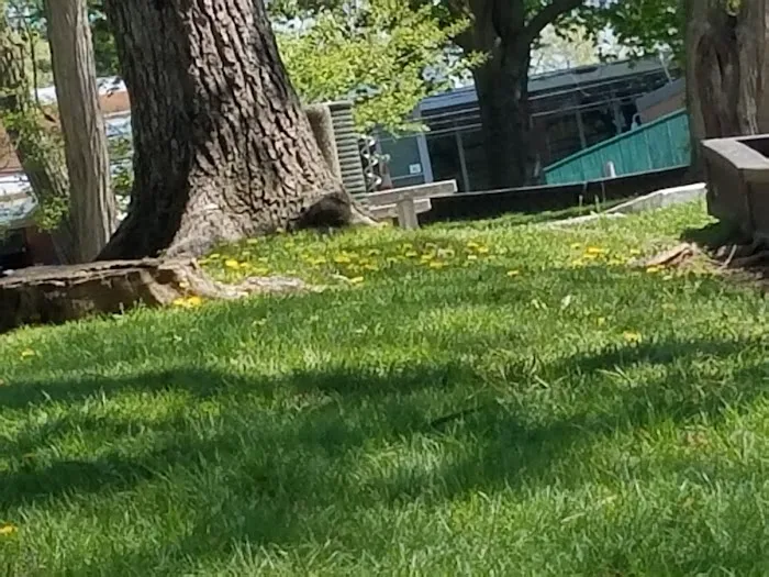 Martin Luther King Jr Children's Park Picture 7