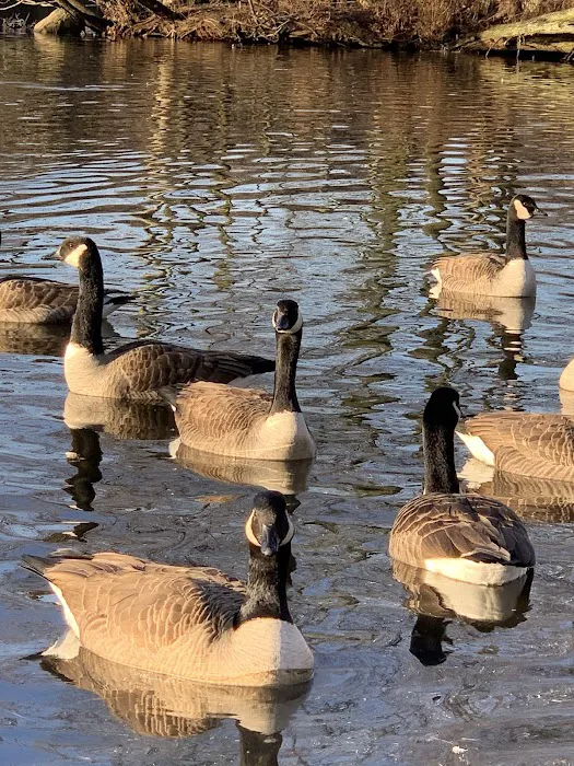 Crystal Lake Park Picture 6