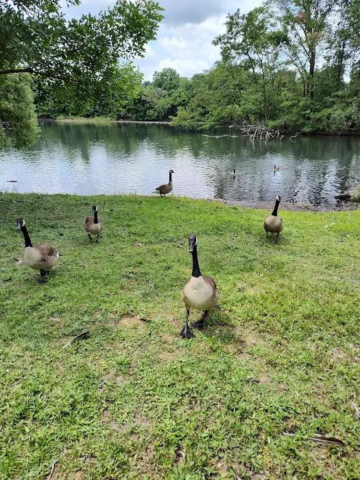 Crystal Lake Park Picture 5