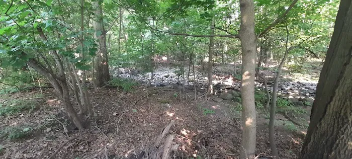 Trumbull Park Picture 1