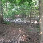 Trumbull Park