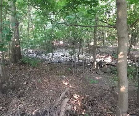 Trumbull Park
