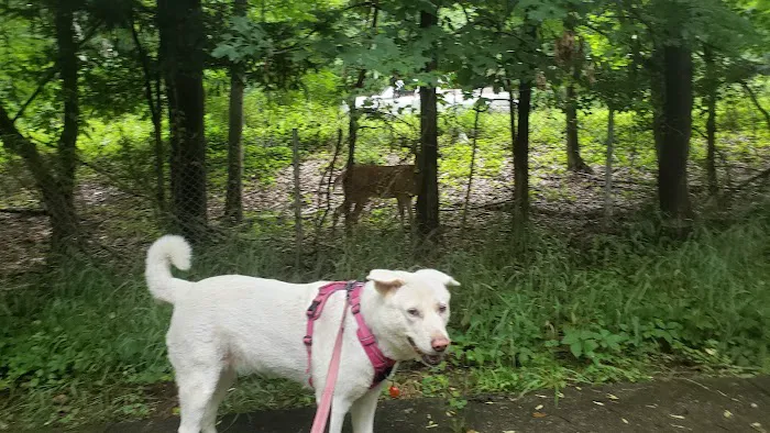 Dudley C Allen Playground & Dog Park Picture 8