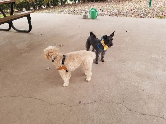Dudley C Allen Playground & Dog Park Picture 10